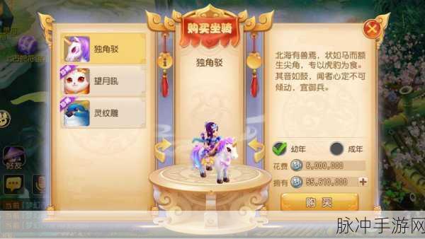 梦幻西游手游，全面攻略——如何获取你的专属坐骑