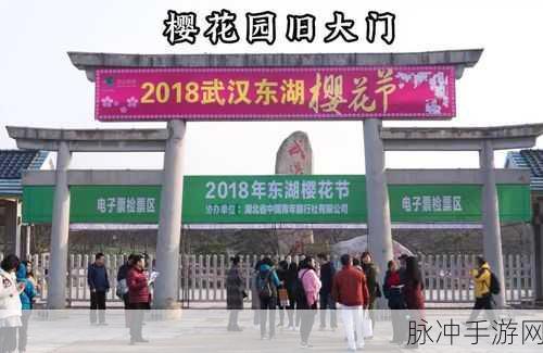 使命召唤手游东湖樱花节涂鸦全攻略，绽放你的创意