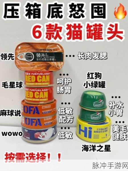 最强蜗牛猫罐头效果大揭秘