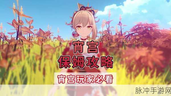 原神准备投珑仪式任务全解析，通关秘籍与细节指南