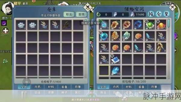 修仙家族模拟器 2，深度解析妖兽与灵兽的差异