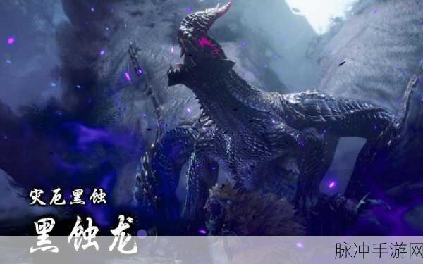 怪物猎人崛起，风神龙弱点与位置大曝光