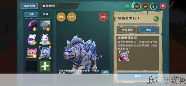 创造与魔法，皎晶白虎获取秘籍大公开