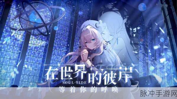灵魂潮汐兑换码全攻略，解锁海量福利，助力冒险之旅