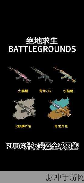 绝地求生全军出击武器大揭秘，哪些枪好用，等你来探索战场奥秘