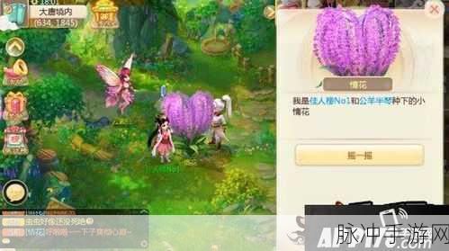 大话西游手游情花任务深度攻略，浪漫与奖励并存