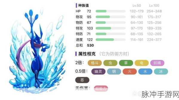 宝可梦大集结甲贺忍蛙道具携带推荐，全面解析甲贺忍蛙装备选择