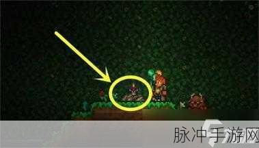 泰拉瑞亚手游攻略，揭秘吸血飞刀的合成与获取之道