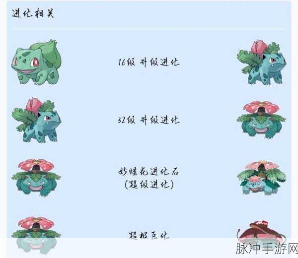 宝可梦大探险，杰尼龟属性技能全解析，战斗潜力深度挖掘