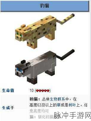 我的世界手游，豹猫驯化秘籍大公开