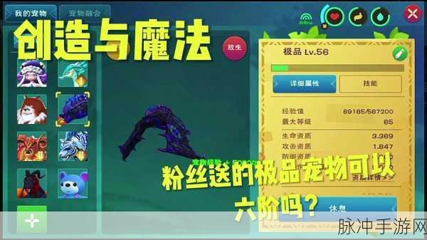 创造与魔法灰蝠龙资质变异大揭秘