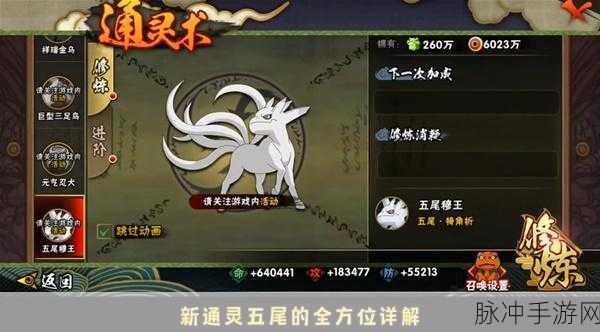 火影忍者手游通灵兽升级全攻略