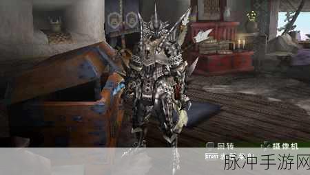 怪物猎人P3，探索那些令人瞩目的好看套装