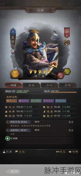 三国志战略版，全面攻略，助你武将飞速升至50级