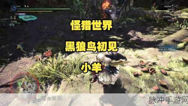 探索怪物猎人物语 2 中黑狼鸟的神秘藏身之处