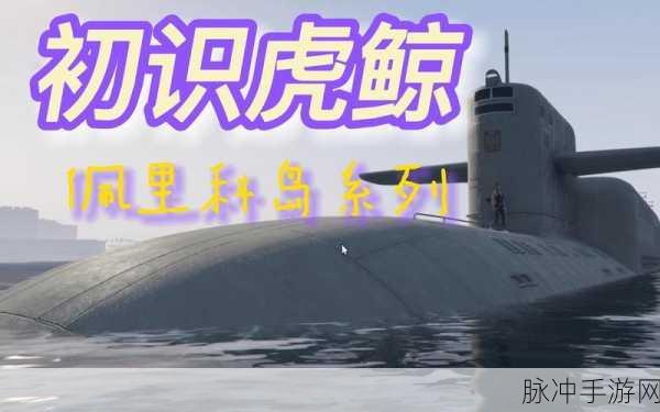 GTA5 佩里科岛前置任务与虎鲸任务通关秘籍