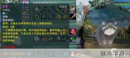 诺亚之心幸运探险者奇遇全攻略