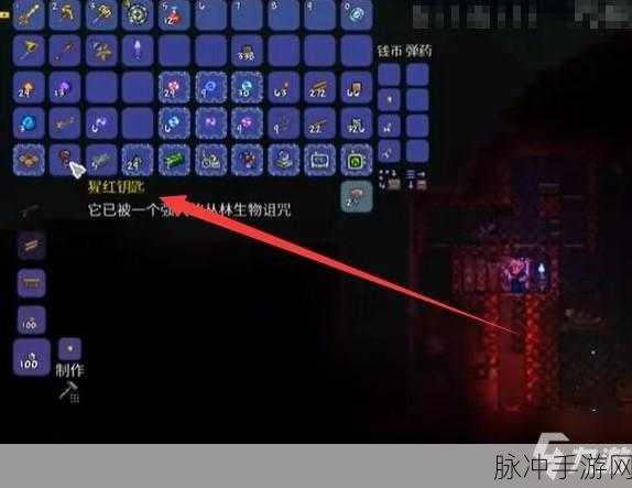 泰拉瑞亚手游攻略，揭秘巴拉的帽子获取方法与详解