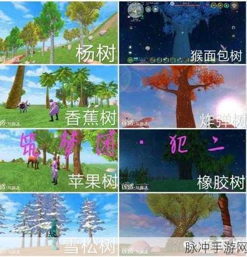 创造与魔法，染料制作全攻略 开启色彩魔法之旅