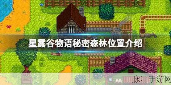 星露谷物语，揭秘秘密森林的放置与探索攻略