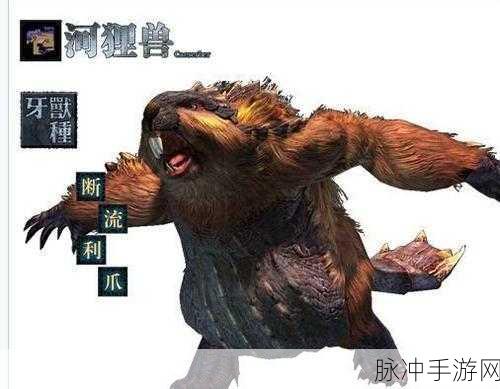 怪物猎人OL，揭秘怪物粪便的奇妙世界与获取之道