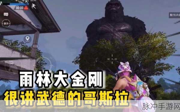 和平精英，金刚结晶与哥斯拉结晶的深度解析及用法指南