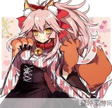 新篇章，FGO玉藻猫突破材料全解析与素材推荐