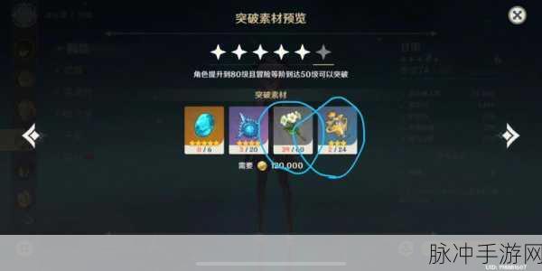 新篇章，FGO玉藻猫突破材料全解析与素材推荐