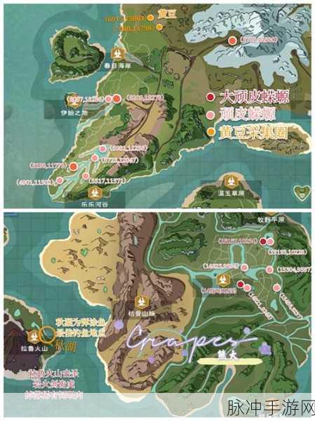 创造与魔法龟壳获取秘籍大公开