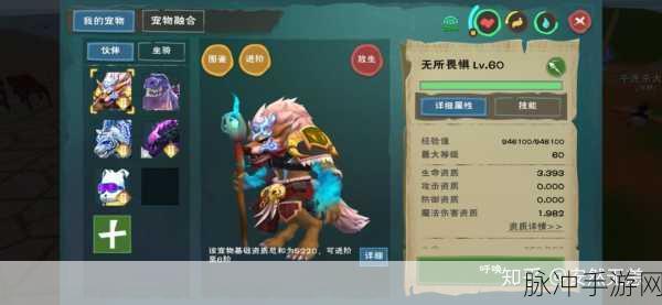 创造与魔法龟壳获取秘籍大公开