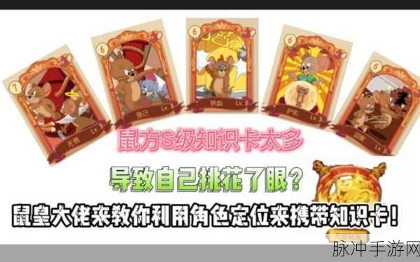 猫和老鼠手游，知识卡搭配秘籍大公开