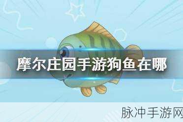 摩尔庄园手游攻略，揭秘利齿狗鱼的垂钓位置与技巧