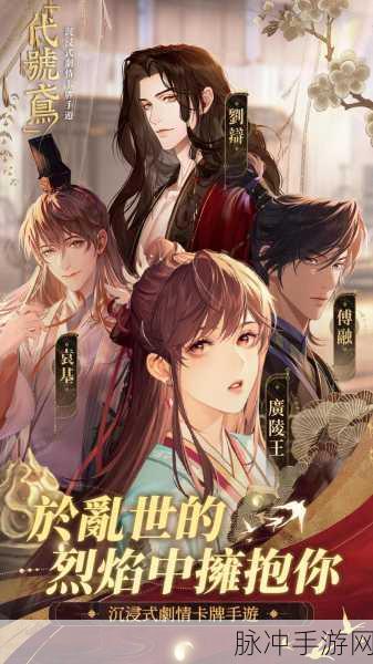 代号鸢女主身份揭秘，深入探索女主人公的传奇与背景故事