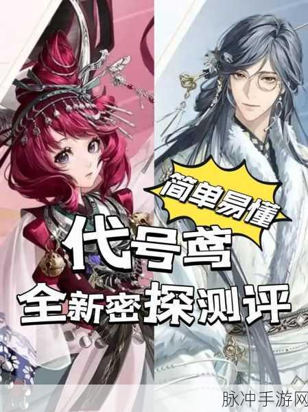 代号鸢女主身份揭秘，深入探索女主人公的传奇与背景故事