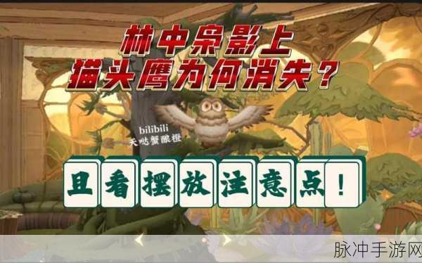 哈利波特魔法觉醒，猫头鹰获取全攻略