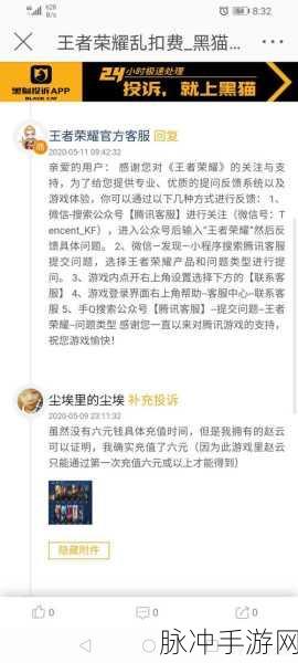 王者荣耀点券消失之谜，全面解析与应对策略