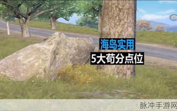和平精英苟分点全攻略，掌握这些点位，轻松提升生存率