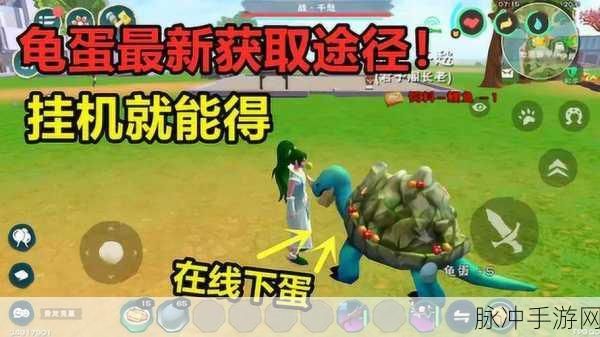 创造与魔法深度攻略，揭秘乌龟生产龟蛋的奇妙之旅