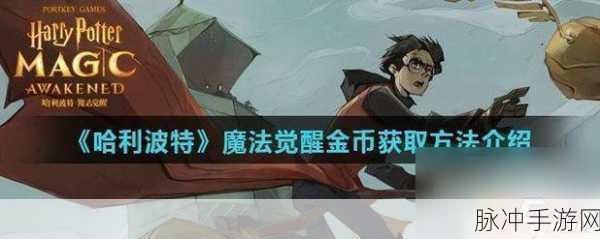 哈利波特魔法觉醒，金币宝石获取秘籍大公开