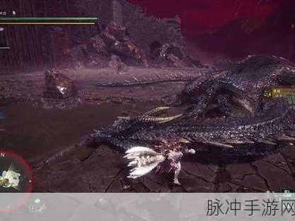 怪物猎人，揭秘黑龙开关的隐秘位置