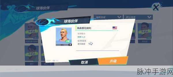 全明星街球派对手游小卡伙伴怎么选？小卡伙伴选择建议深度解析
