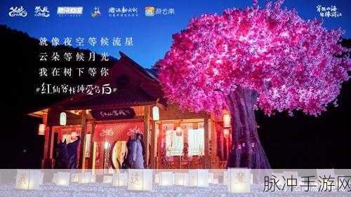 狐妖小红娘手游求婚大作战通关秘籍全解析