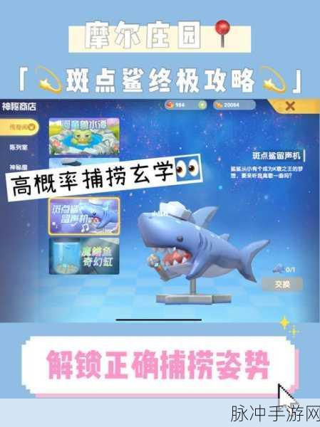 摩尔庄园手游，斑点鲨位置与留声机获取秘籍