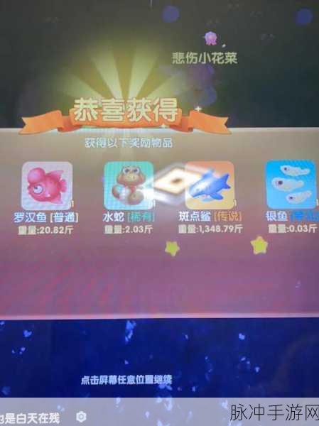 摩尔庄园手游，斑点鲨位置与留声机获取秘籍