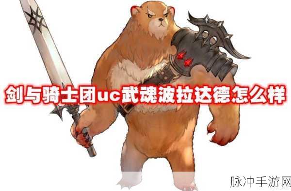 剑与骑士团，希皮德武魂属性深度剖析与实战应用