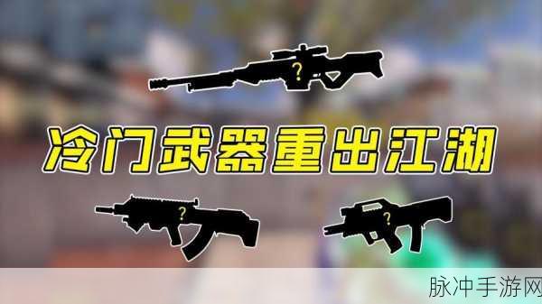 使命召唤手游，冷门武器大翻身 战场称雄秘籍