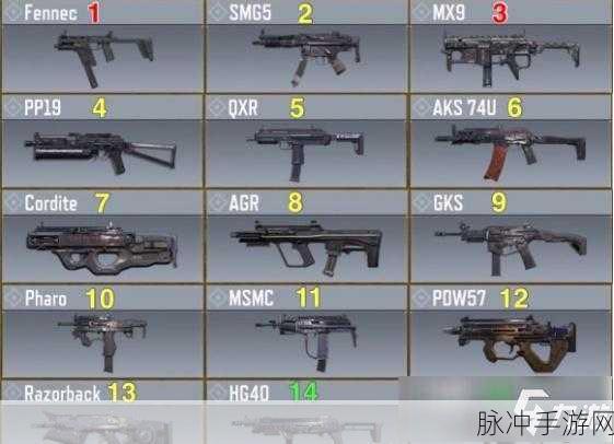 使命召唤手游，冷门武器大翻身 战场称雄秘籍