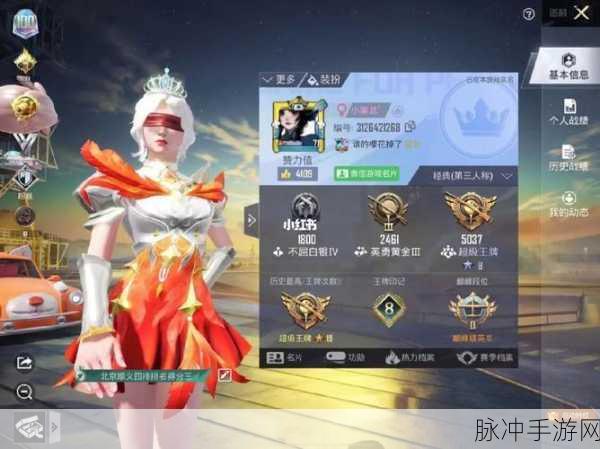 和平精英，隐匿历史战绩的终极指南