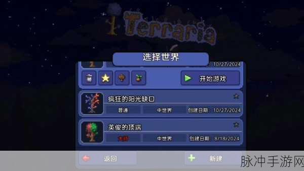 泰拉瑞亚手游攻略，揭秘永夜之刃的后续合成之路