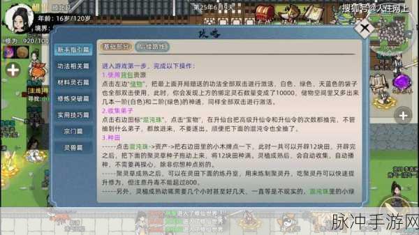修仙家族模拟器 2 元婴突破秘籍大公开